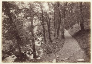 Dolgelley ، منظر في Torrent Walk ، ١٨٦٠٩٤.