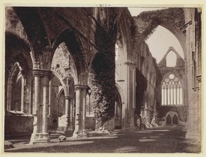 بدون عنوان [Tintern Abbey] ، ١٨٦٠٩٤. بواسطة فرانسيس بيدفورد