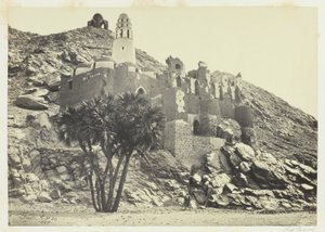 دوم النخيل والمسجد المدمر في فيل