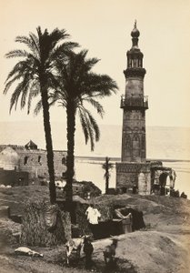 "مصر وفلسطين": منظر لجرجه ، صعيد مصر بواسطة فرانسيس فريث