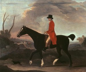 رجل على ظهور الخيل