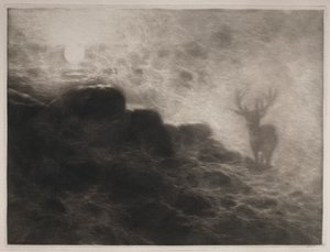 الناهض المبكر ، 1897. بواسطة فرانسيس سيمور هادن