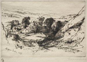 تسعة بارو لأسفل ، 1877. بواسطة فرانسيس سيمور هادن