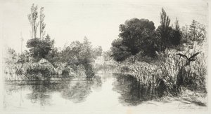 شارك Mill Pond، 1860. بواسطة فرانسيس سيمور هادن