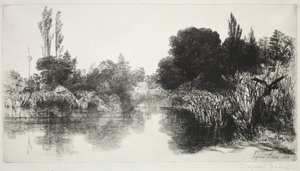 Shere Mill Pond ، رقم 11 اللوحة الكبيرة ، 1860 وما بعدها. بواسطة فرانسيس سيمور هادن