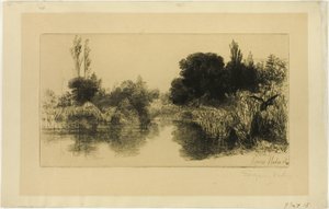 Shere Mill Pond رقم II (صحن كبير) بواسطة فرانسيس سيمور هادن