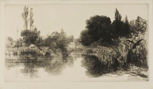 Shere Mill Pond رقم II (صحن كبير) بواسطة فرانسيس سيمور هادن