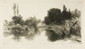 Shere Mill Pond رقم II (صحن كبير) بواسطة فرانسيس سيمور هادن
