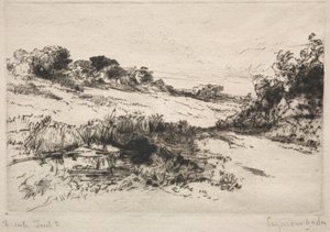 Windmill Hill ، رقم 1 ، 1877. بواسطة فرانسيس سيمور هادن