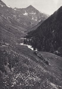 جبال الألب الشرقية: في Windach Tal (صورة b / w) بواسطة فرانسيس سيدني سميث