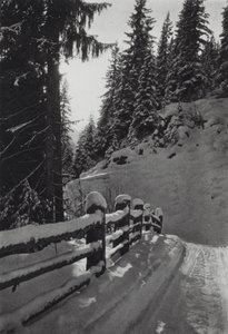 جبال الألب: Winter Morning ، بالقرب من St Anton (b / w photo) بواسطة فرانسيس سيدني سميث
