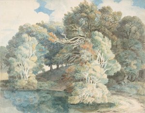 أشجار بجانب البحيرة ، متنزه بيمور ، بالقرب من إكستر ، ديفون ، 1790-1810. بواسطة فرانسيس تاون