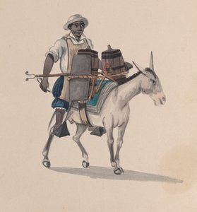 حامل مائي يركب حمارًا ، من مجموعة رسومات تصور زيًا بيروفيًا ، كاليفورنيا. 1848. بواسطة فرانسيسكو