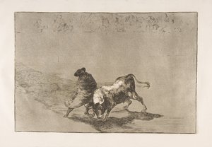 اللوحة 14 من تاوروموكيا: طالب فالسيس الماهر ، ملفوف في رأسه ... ، 1816. بواسطة فرانسيسكو دي جويا