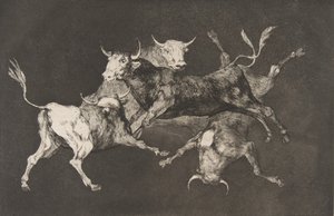 اللوحة D من التباينات: الحمقى أو الثيران الصغيرة - ... 1816-23 نشرت قبل عام 1877. بواسطة فرانسيسكو دي جويا