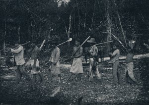 الهنود الغواراني ، العائدين من الصيد ، 1895 بواسطة فرانسيسكو هينزلر