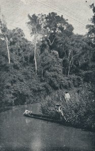 ريو دي S. Anastacio ، 1895 بواسطة فرانسيسكو هينزلر