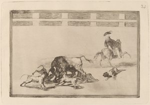 Echan perros al toro (لقد سلبوا كلابًا على الثور) بواسطة فرانسيسكو دي جويا