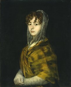 سينورا ساباسا غارسيا ، 1806-11 (زيت على قماش) بواسطة فرانسيسكو دي جويا