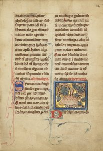 A Hedgehog from a bestiary Ms Ludwig XV 4، فول. 82 ، 1280-1300 (تمبرا وقلم وحبر وأوراق ذهبية وطلاء على رق) بواسطة مدرسة فرانكو الفلمنكية