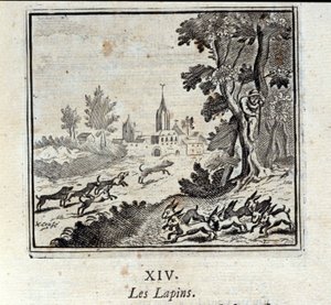 أرانب. أساطير جان دي لافونتين (1621-95). رسم توضيحي لفرانسوا تشوفو (1613-1676). طبعة 1728. بواسطة فرانسوا شوفو