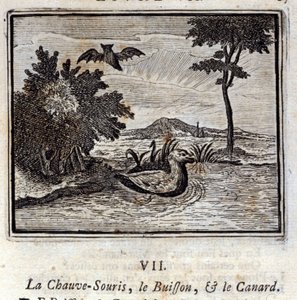 الخفاش والأدغال والبط. أساطير جان دي لافونتين (1621-95). رسم توضيحي لفرانسوا تشوفو (1613-1676). طبعة 1728. بواسطة فرانسوا شوفو