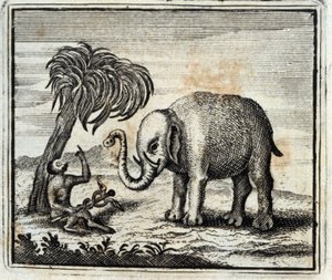 الفيل وقرد المشتري. أساطير جان دي لافونتين (1621-95). رسم توضيحي لفرانسوا تشوفو (1613-1676). طبعة 1728.