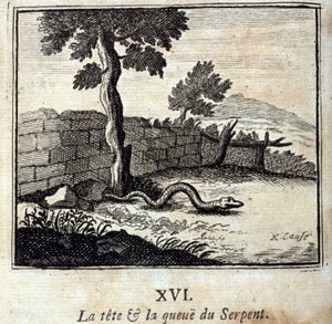 رأس وذيل الأفعى. أساطير جان دي لافونتين (1621-95). رسم توضيحي لفرانسوا تشوفو (1613-1676). طبعة 1728. بواسطة فرانسوا شوفو