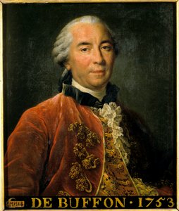 صورة لجورج لويس لوكلير ، كونت بوفون ، مراقب الحدائق الملكية ، عالم الطبيعة والكاتب (1707-1788). لوحة بعد النسخة الأصلية لفرانسوا أوبرت درويس (1727-1775). خافت 0.63 × 0.52. فرساي. متحف شاتو