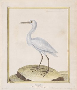 البلشون البلشون البلشون ، 1770-86. بواسطة فرانسوا نيكولا مارتينيه
