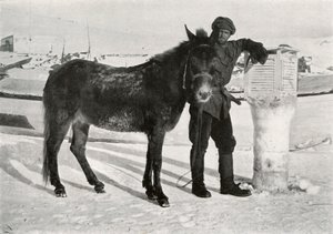 Gran with Mule Lal Khan، c1911، 1913