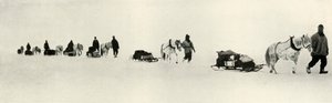 المهور في مارس 1911 ، 1913