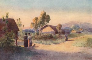 نيوزيلندا: قرية ماورية (ليثو ملون)