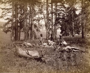 Elk Hunters، Yellowstone، c.1880 (طباعة زينية فضية) بواسطة فرانك جاي هاينز