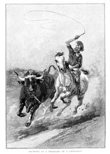 تقريب Straggler على تشغيل الماشية ، أستراليا ، 1886 بواسطة فرانك بي ماهوني