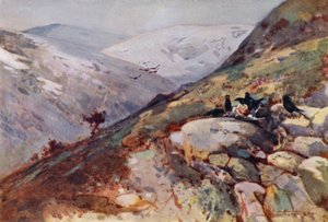 Near Kielder (colour litho) بواسطة فرانك ساوثجيت