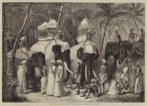 فيلة راجا ترافانكور بواسطة فرانك فيزيتيلي