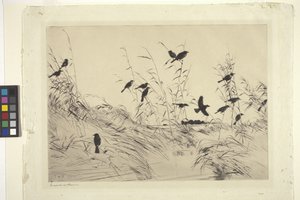 Blackbirds And Rushes (حبر على ورق) بواسطة فرانك ويستون بنسون