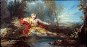 Narcisse contemplating its reflection (Narciso) Painting by Francois le Moyne (1688-1737) 18th century