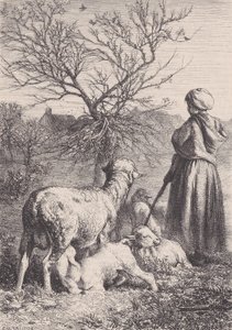 راعية ، كاليفورنيا. 1852. بواسطة فرانسوا روجيت
