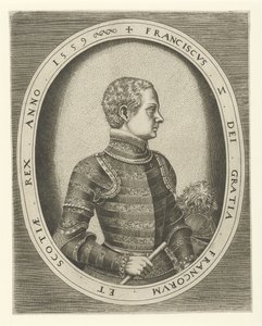 صورة فرانسيس الثاني لفرنسا 1544-1560 ، 1559