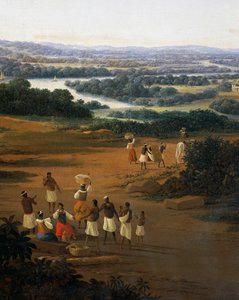 Serinhaem village in Brazil or The home of a sugar cane planter in Brazil (oil on canvas)