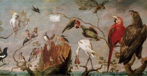 Birds Concert Painting by Frans Snyders (Snijders) (1579-1657) 17th century Madrid, Prado Museum