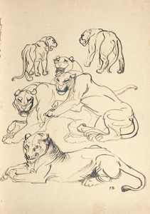 ستة كوجر بواسطة فرانز بارويج الاصغر أ.