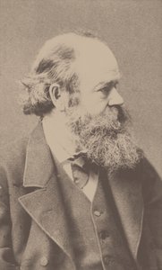 صورة الملحن روبرت فون هورنستين 1833-1890. بواسطة فرانز هانفستاينجل