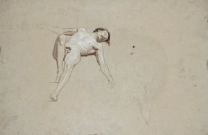 دراسة لذكر كاذب عاري