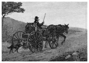 أرنب كولاك أرنب ، 1886.