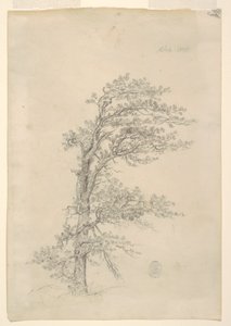 A Pitch Pine بواسطة كنيسة فريدريك إدوين