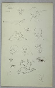 رسم، دراسات تشريحية، 1865-70 بواسطة كنيسة فريدريك إدوين