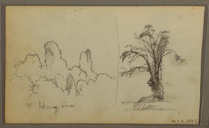 رسم، بيردز، "صخرة في خليج بنما"؛ على الوجه: "كروم ثقيلة"، 15 مايو 1857 بواسطة كنيسة فريدريك إدوين